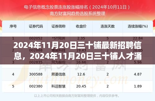 2024年11月20日三十铺人才涌动，最新招聘信息引领时代风潮