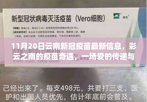 云南新冠疫苗最新动态，爱的传递与陪伴的温馨故事在彩云之南展开