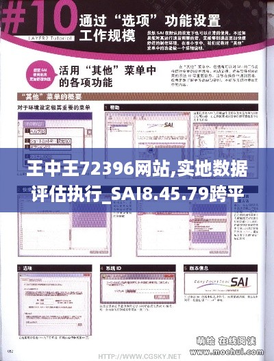 王中王72396网站,实地数据评估执行_SAI8.45.79跨平台版