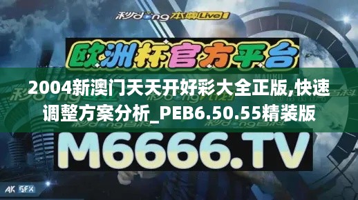 2004新澳门天天开好彩大全正版,快速调整方案分析_PEB6.50.55精装版