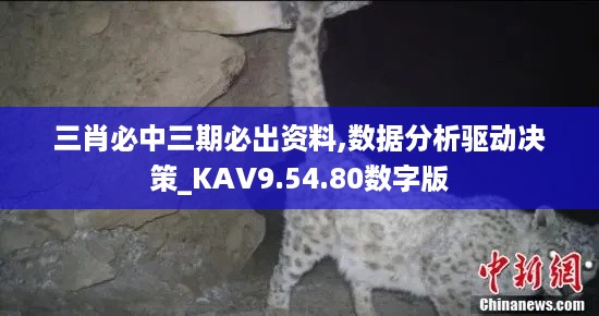 三肖必中三期必出资料,数据分析驱动决策_KAV9.54.80数字版