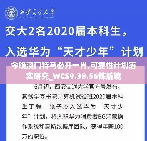 今晚澳门特马必开一肖,可靠性计划落实研究_WCS9.38.56炼脏境