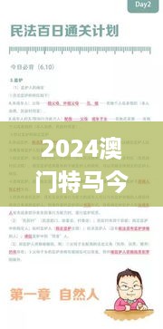 2024澳门特马今晚开奖93,担保计划执行法策略_NCI1.77.37内容创作版