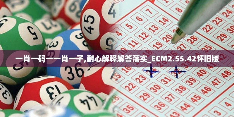 一肖一码一一肖一子,耐心解释解答落实_ECM2.55.42怀旧版