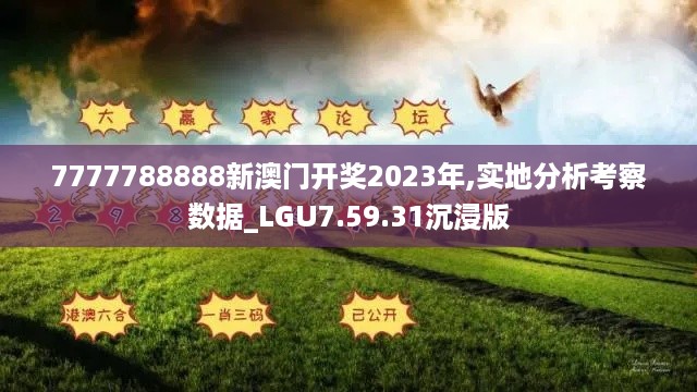 7777788888新澳门开奖2023年,实地分析考察数据_LGU7.59.31沉浸版