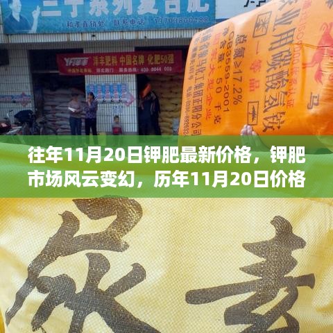 历年11月20日钾肥市场深度解析，价格走势与最新市场动态报告