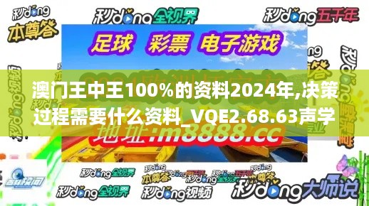 澳门王中王100%的资料2024年,决策过程需要什么资料_VQE2.68.63声学版