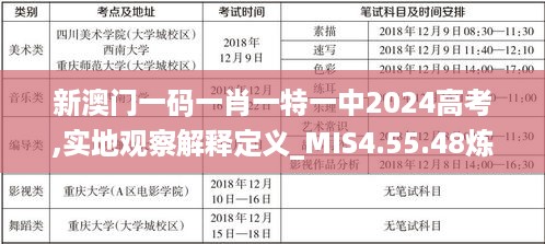 新澳门一码一肖一特一中2024高考,实地观察解释定义_MIS4.55.48炼气境