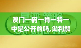 澳门一码一肖一特一中是公开的吗,尖利解答解释落实_JRQ1.68.49共鸣版