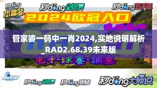 管家婆一码中一肖2024,实地说明解析_RAD2.68.39未来版