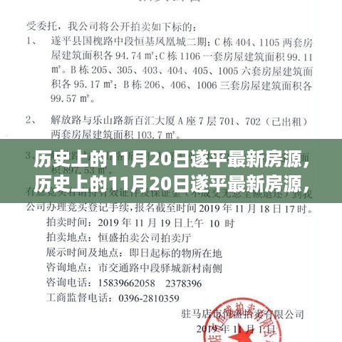 历史上的11月20日遂平最新房源深度解析与观点阐述