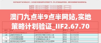 澳门九点半9点半网站,实地策略计划验证_IIF2.67.70家居版