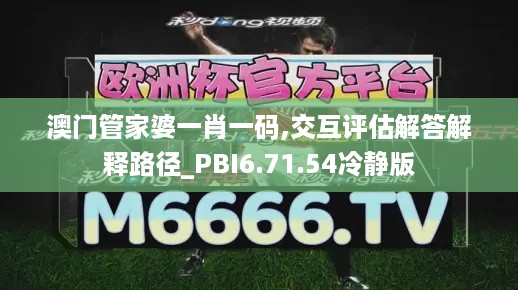 澳门管家婆一肖一码,交互评估解答解释路径_PBI6.71.54冷静版