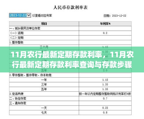 11月农行定期存款利率解析，查询方法与存款步骤指南