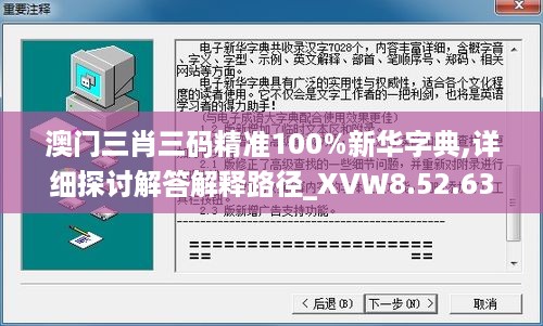 澳门三肖三码精准100%新华字典,详细探讨解答解释路径_XVW8.52.63寻找版