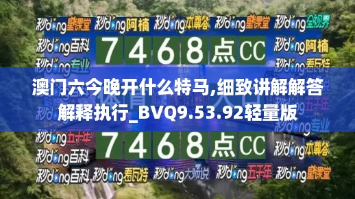 澳门六今晚开什么特马,细致讲解解答解释执行_BVQ9.53.92轻量版