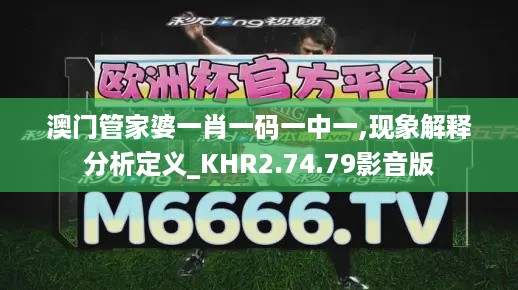 澳门管家婆一肖一码一中一,现象解释分析定义_KHR2.74.79影音版