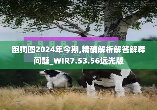 跑狗图2024年今期,精确解析解答解释问题_WIR7.53.56远光版