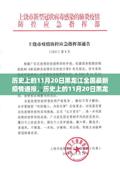 历史上的11月20日黑龙江疫情通报，疫情走势、防控要点及科普解读