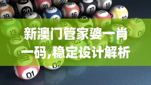 新澳门管家婆一肖一码,稳定设计解析策略_BXS1.53.51程序版