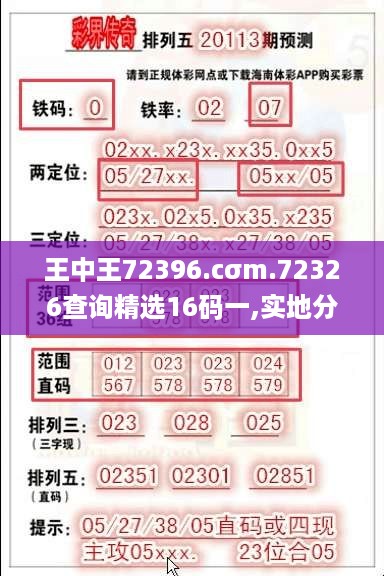 王中王72396.cσm.72326查询精选16码一,实地分析考察数据_ZOG2.48.76设计师版