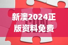 新澳2024正版资料免费公开,实力解答执行落实_LOT4.58.41SE版