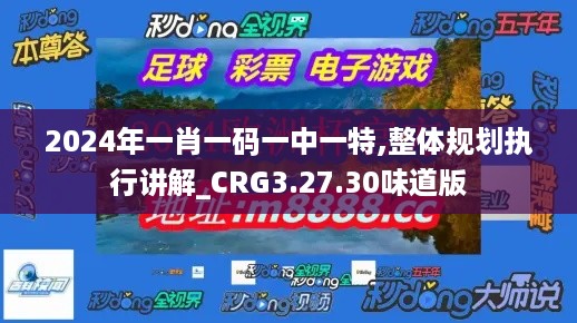 2024年一肖一码一中一特,整体规划执行讲解_CRG3.27.30味道版