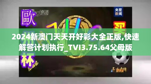 2024新澳门天天开好彩大全正版,快速解答计划执行_TVI3.75.64父母版