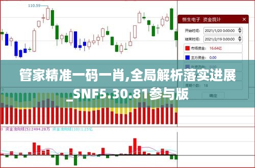 管家精准一码一肖,全局解析落实进展_SNF5.30.81参与版