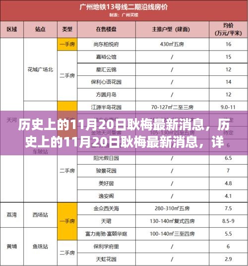 历史上的11月20日耿梅最新消息详解，步骤指南