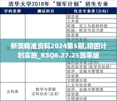 新澳精准资料2024第5期,稳固计划实施_KSQ6.27.25效率版