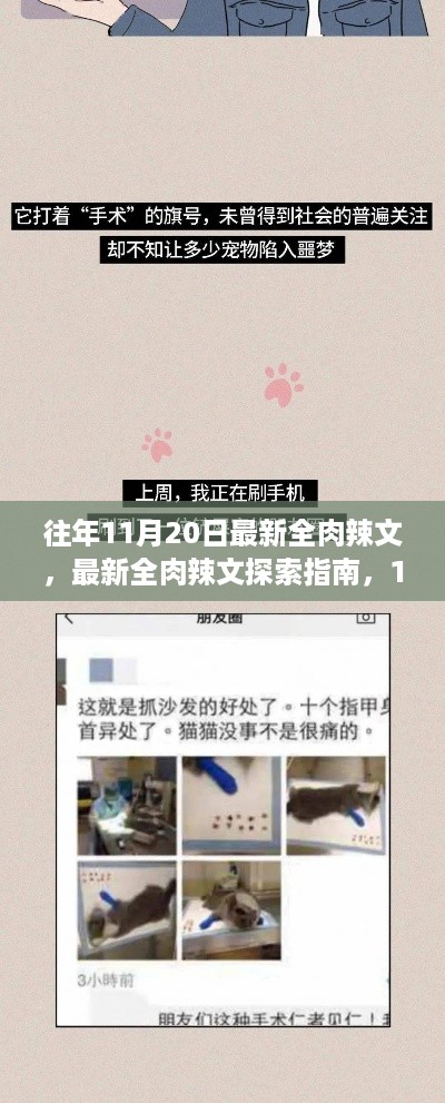 关于涉黄问题的警示，警惕网络陷阱，远离不良内容最新全肉辣文探索与警示