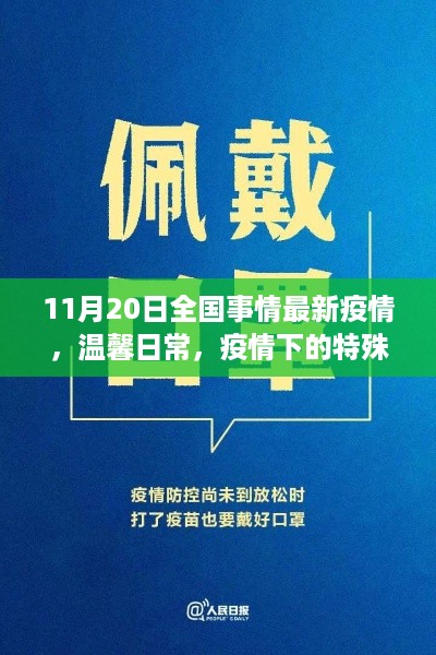 11月20日全国疫情最新动态，疫情下的温馨日常与特殊聚会故事