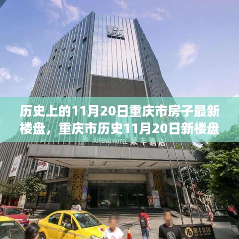 重庆市新楼盘测评报告，历史11月20日楼盘特性、用户体验与目标用户分析