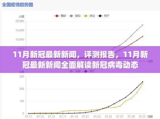 11月新冠病毒最新动态，全面解读新闻与评测报告