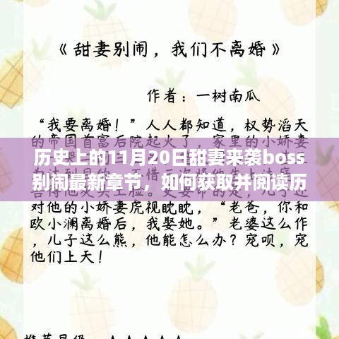 历史上的11月20日甜妻来袭，最新章节获取与阅读指南