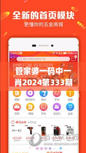 管家婆一码中一肖2024第333期,专业解答实行问题_TYD7.25.68工具版