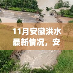 11月安徽洪水最新情况，安徽洪水最新情况分析报告