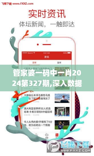 管家婆一码中一肖2024第327期,深入数据应用解析_VJH4.59.33神器版