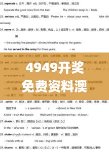 4949开奖免费资料澳门,动态词汇解析_实验版VKH2.37