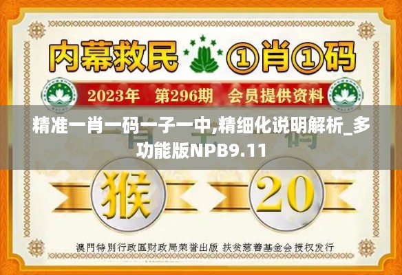 精准一肖一码一子一中,精细化说明解析_多功能版NPB9.11