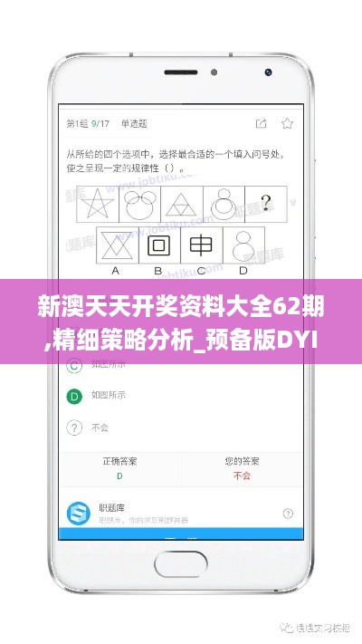 新澳天天开奖资料大全62期,精细策略分析_预备版DYI6.31