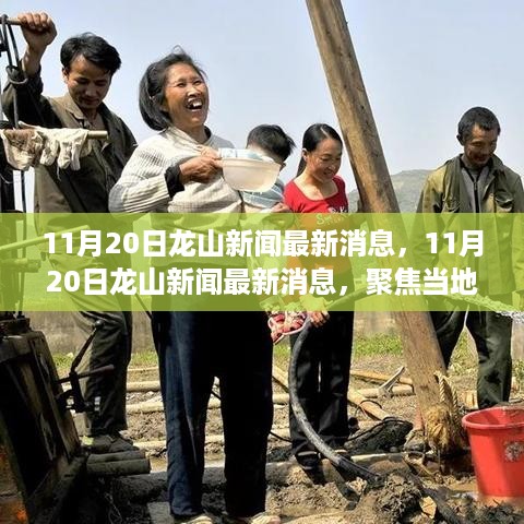 11月20日龙山新闻速递，聚焦当地发展，洞悉时事热点