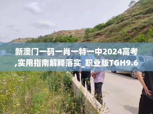 新澳门一码一肖一特一中2024高考,实用指南解释落实_职业版TGH9.62