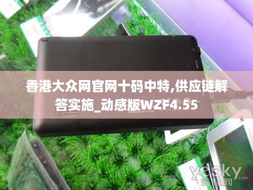 香港大众网官网十码中特,供应链解答实施_动感版WZF4.55