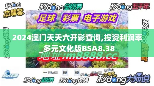 2024澳门天天六开彩查询,投资利润率_多元文化版BSA8.38