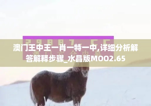 澳门王中王一肖一特一中,详细分析解答解释步骤_水晶版MOO2.65