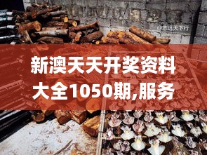 新澳天天开奖资料大全1050期,服务落实解答解释_桌面款YOF8.14