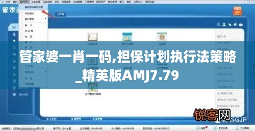 管家婆一肖一码,担保计划执行法策略_精英版AMJ7.79