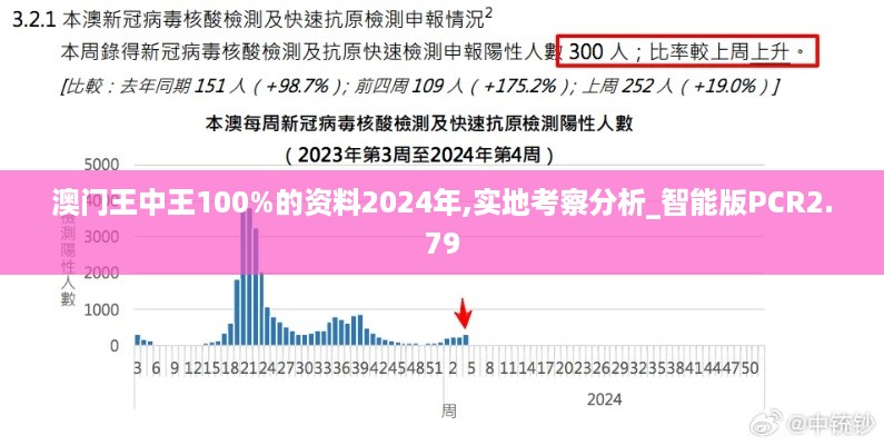 澳门王中王100%的资料2024年,实地考察分析_智能版PCR2.79